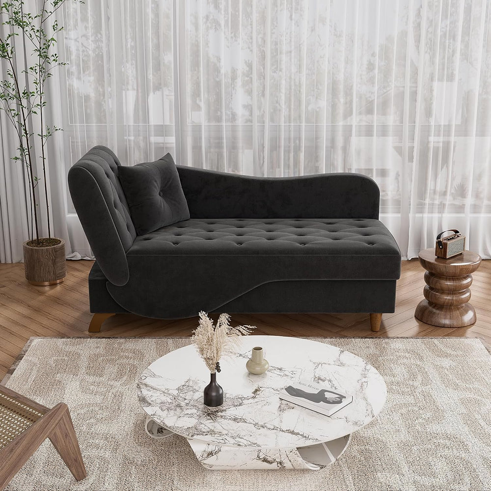 DAMAIFROM Chaise Lounge Chair Indoor with Storage,Adjustable Backrest,Black