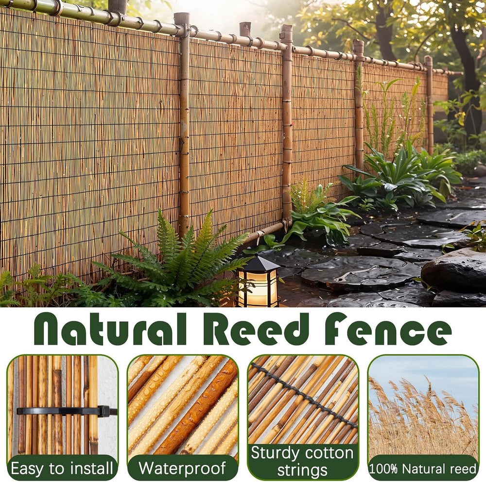 Barydat 2 Pcs 4 x 16.4 ft Reed Fence Roller