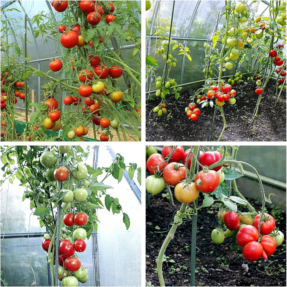 Sturdy Metal Garden Stakes 5 Ft Plastic Coated Steel Plant Sticks for Tomatoe...