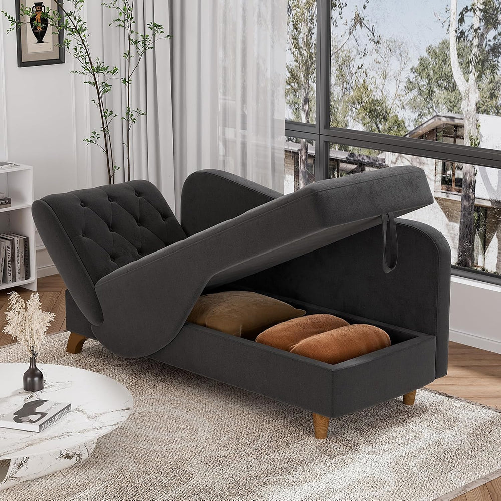 DAMAIFROM Chaise Lounge Chair Indoor with Storage,Adjustable Backrest,Black