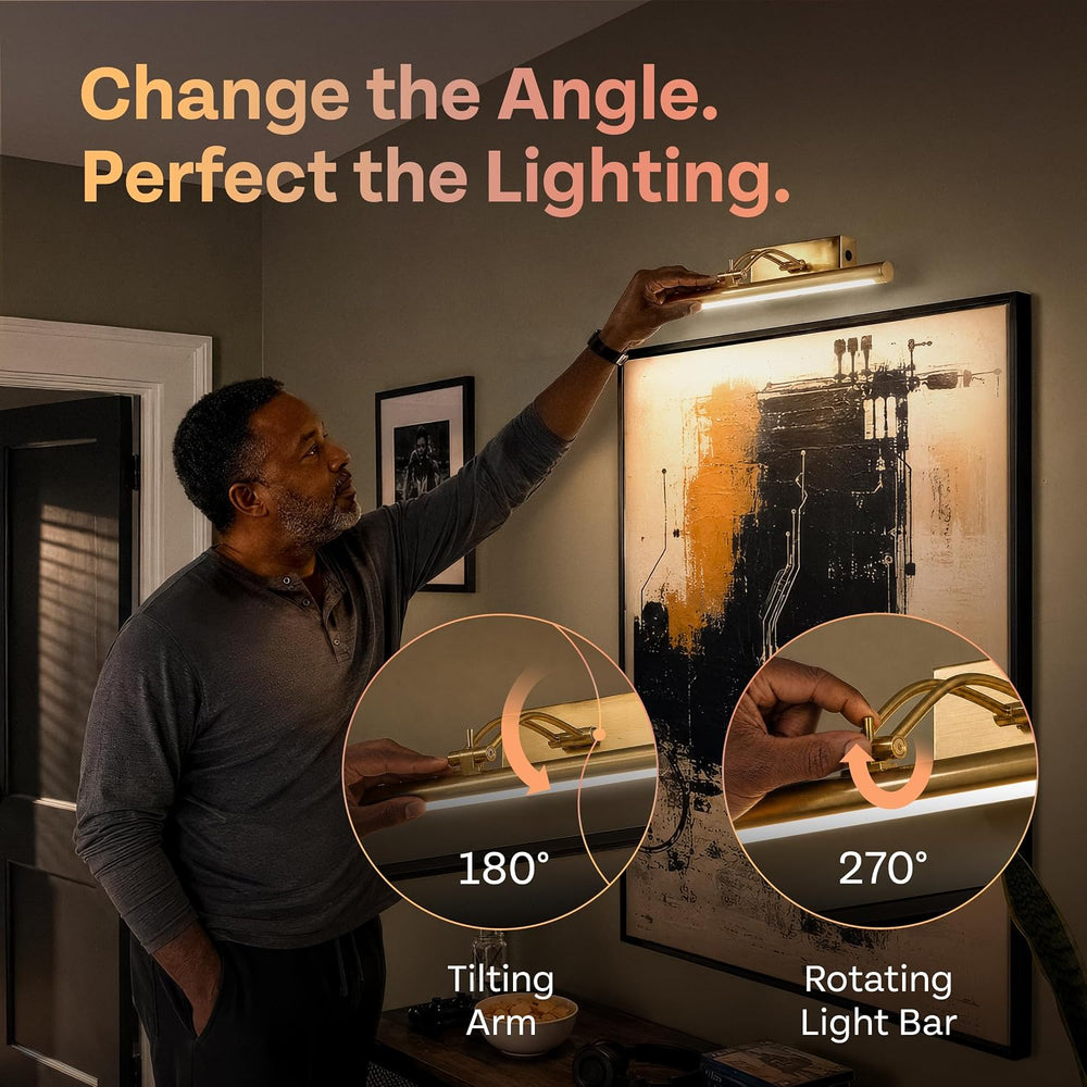 Picture Light for Wall, Rechargeable LED Art Light, Remote, Gold