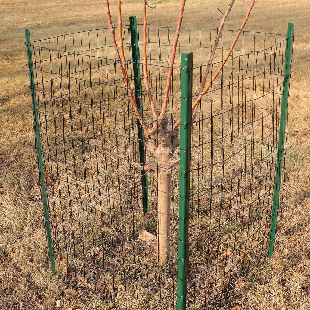 Black PVC Coated Welded Wire Fence 48" x 50' Roll, 2"x3" M...
