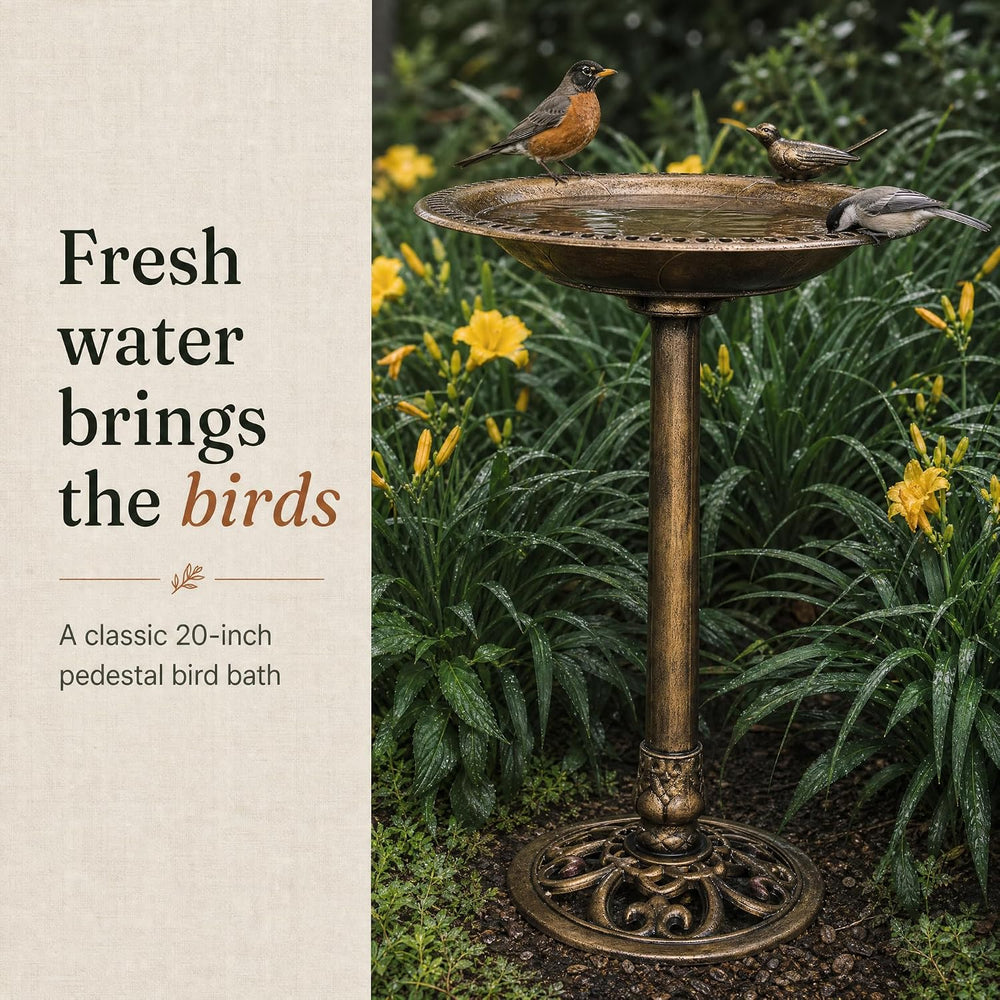 Backyard Expressions Bird Bath for Outside, 30 in Pedestal Birdbath, Bronze