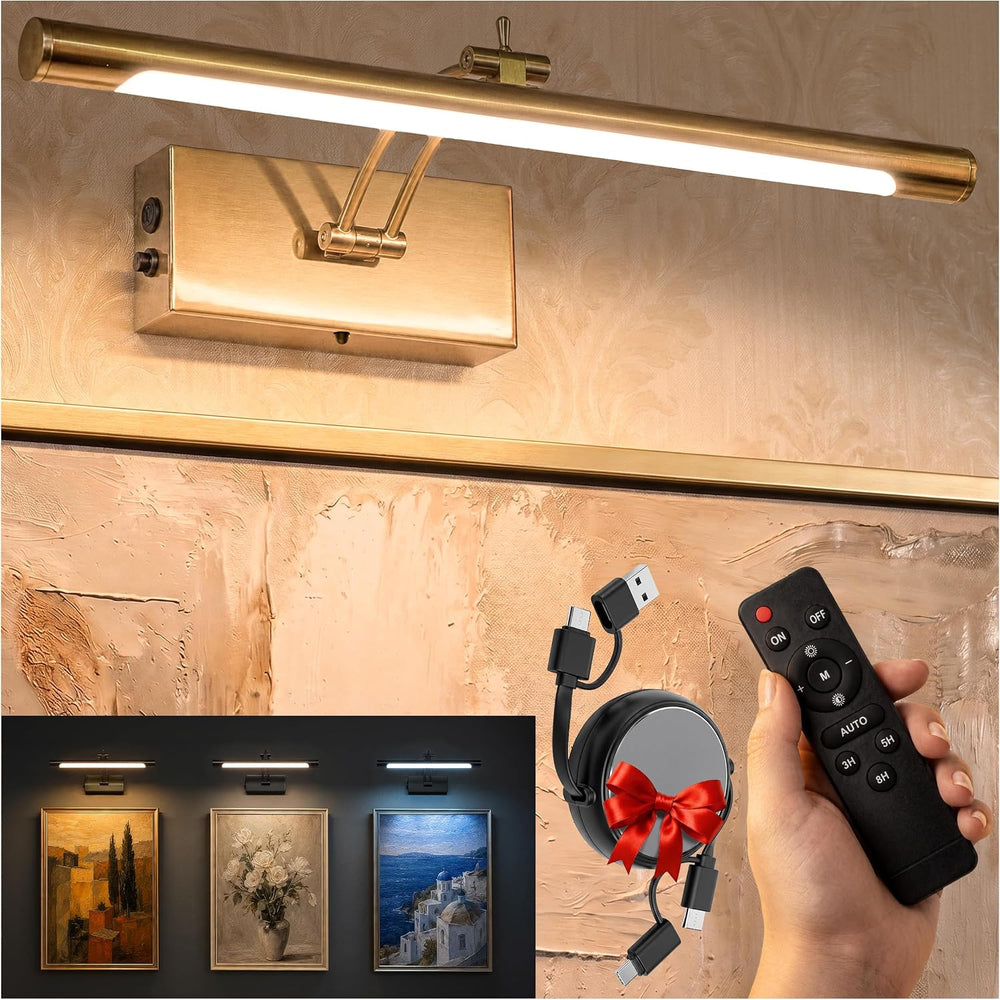 Picture Light for Wall, Rechargeable LED Art Light, Remote, Gold